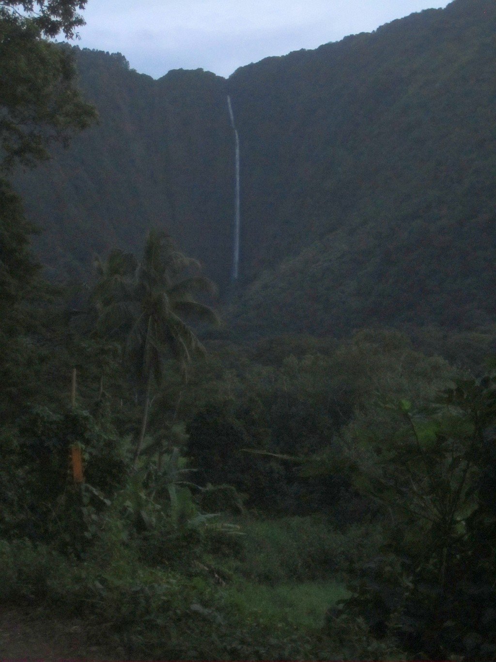 onthefloorofwaipiovalley.jpg
