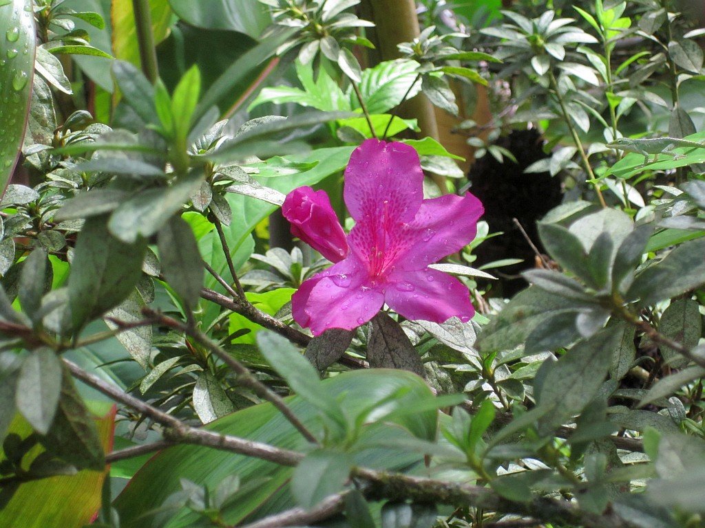 photo10.jpg