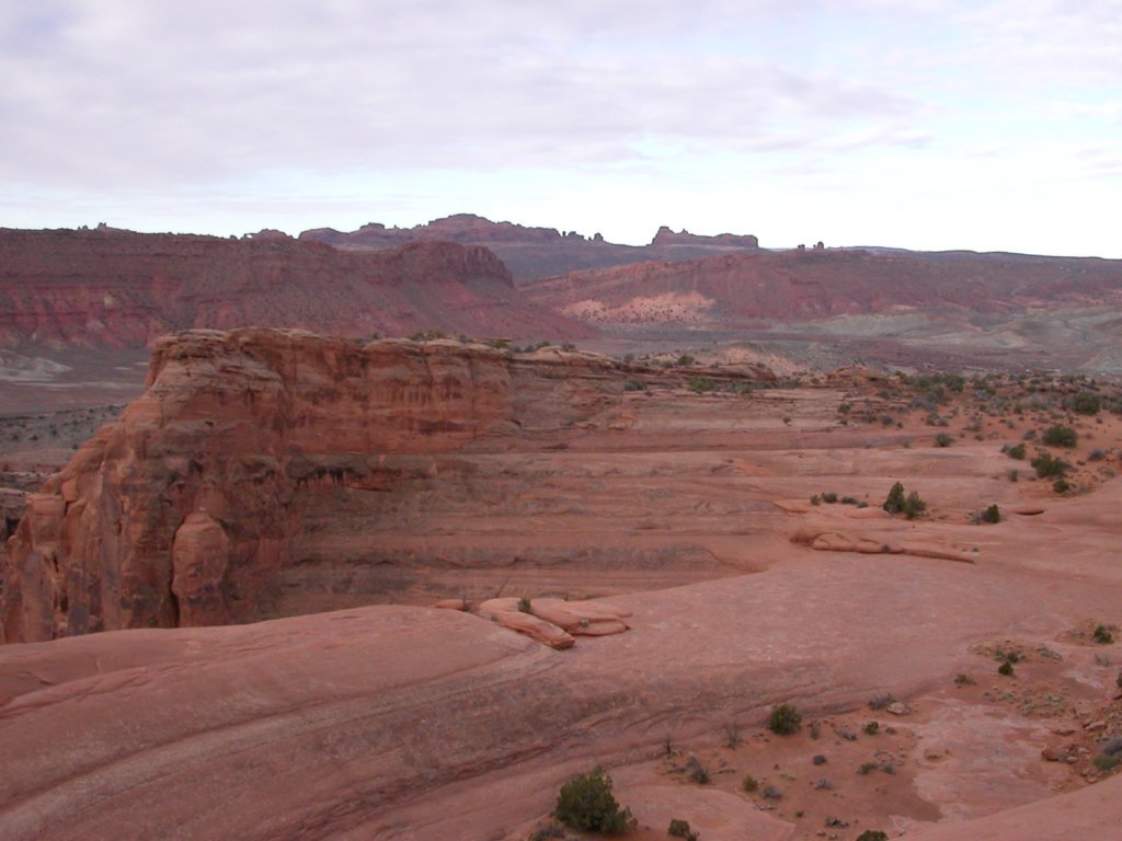 a008.jpg
