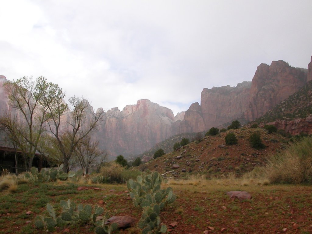photo39.jpg