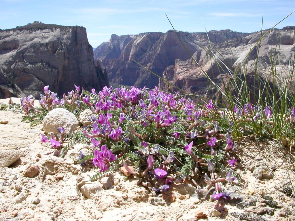 photo9.jpg